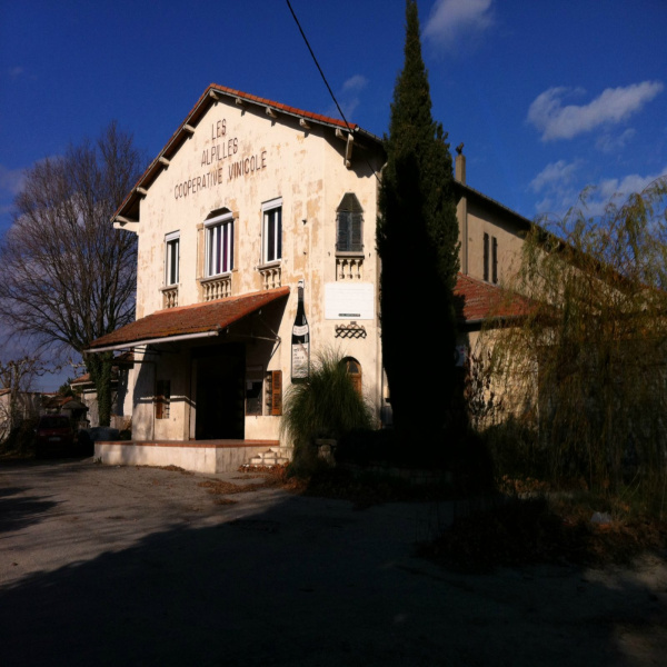 Vente Immobilier Professionnel Local commercial Saint-Étienne-du-Grès 13103
