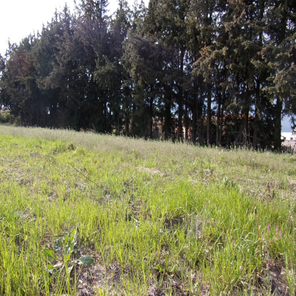Offres de vente Terrain Mas-Blanc-des-Alpilles 13103